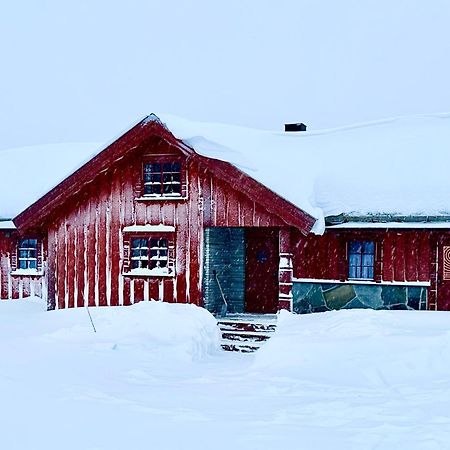 Large Cabin Sjusjoen Best View, Sauna, Ski Inout Dış mekan fotoğraf